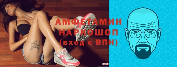 стаф Аркадак