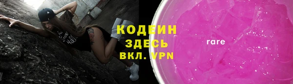 индика Баксан
