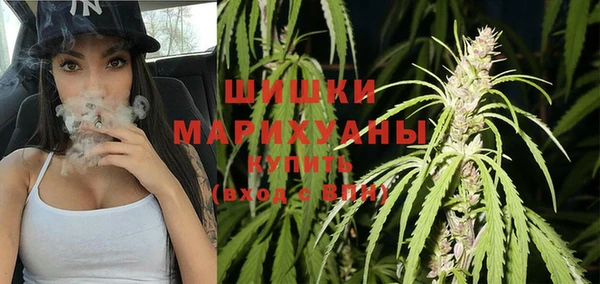 стаф Аркадак