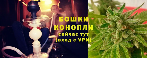 каннабис Новозыбков